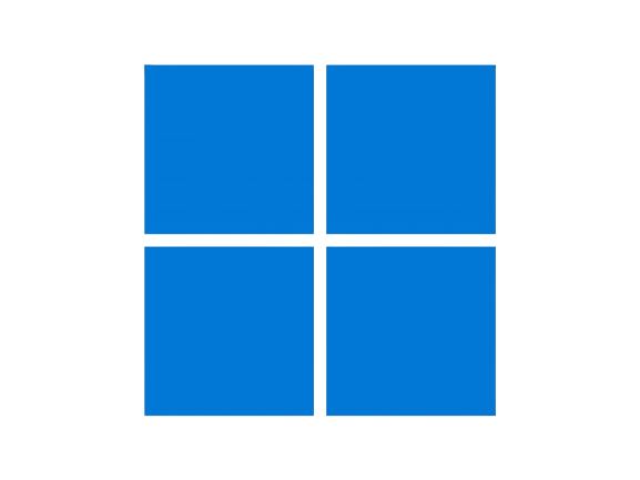 Windows 11